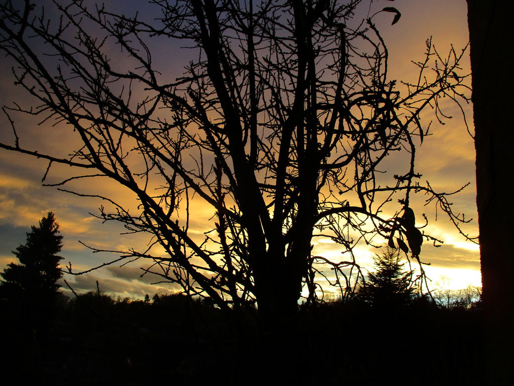 gute Nacht liebe Sonne Foto & Bild | himmel, stimmungen ...