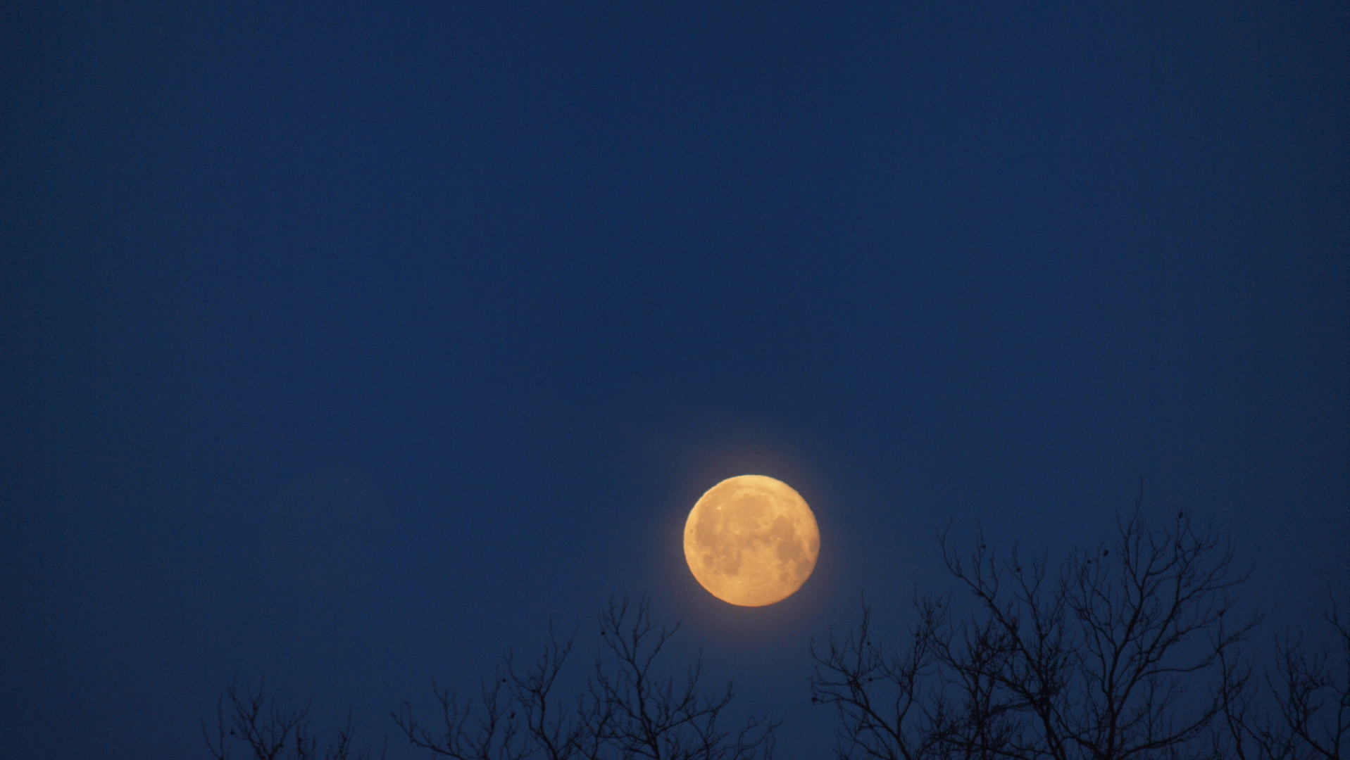 Gute Nacht lieber Mond!