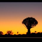 gute Nacht ... Namibia 2