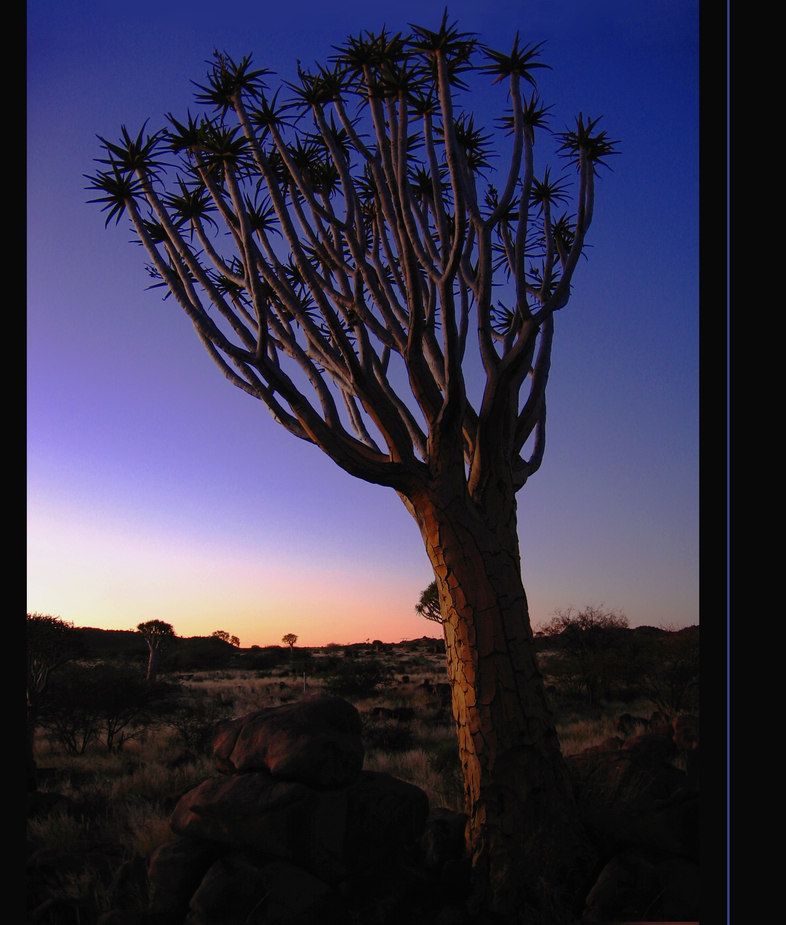 gute Nacht ... Namibia