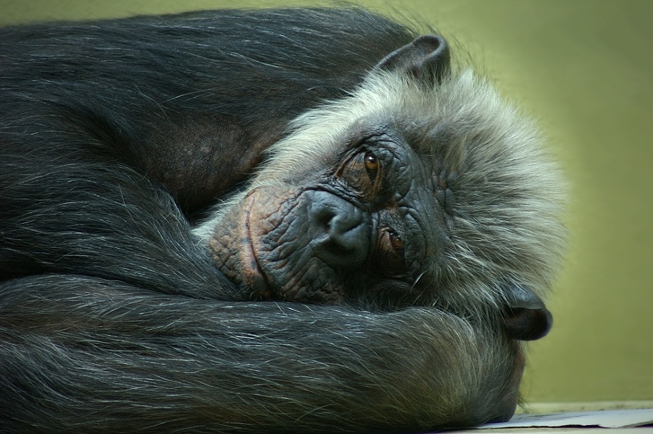 Gute Nacht Süsser!