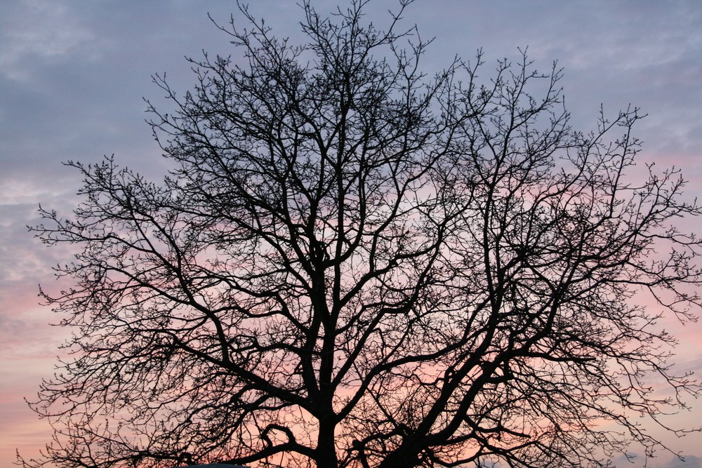 Gute Nacht Welt, die Engel machen das Licht langsam aus.......