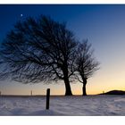 Gute Nacht - Windbuchen