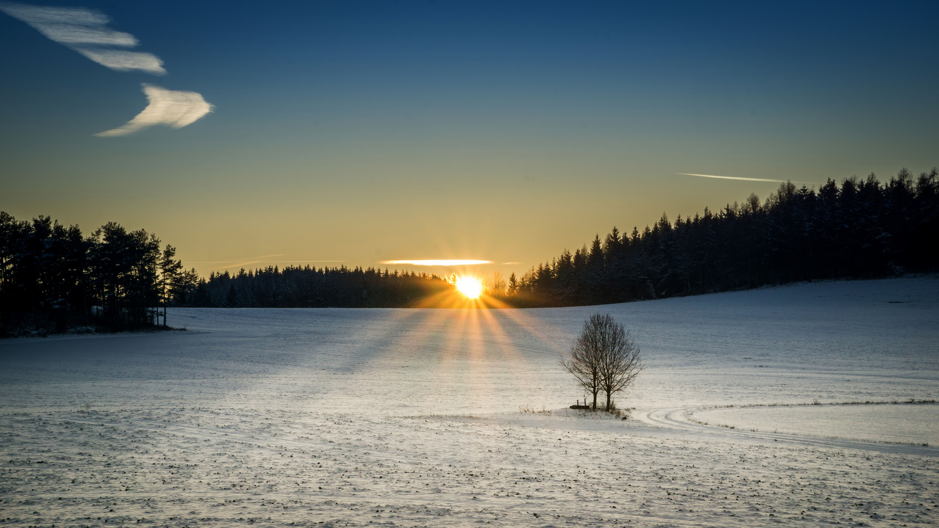 Gute Nacht Winter ....