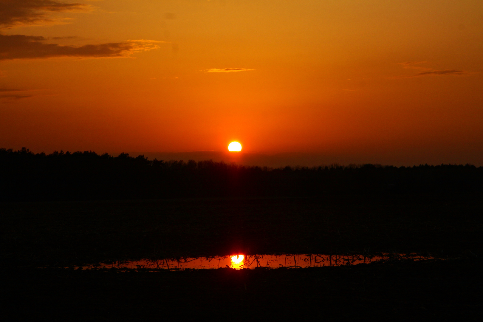 Gute Nacht Wolfsland