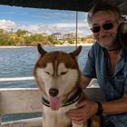 Gute Reise, kleiner Bruder, bester Feund