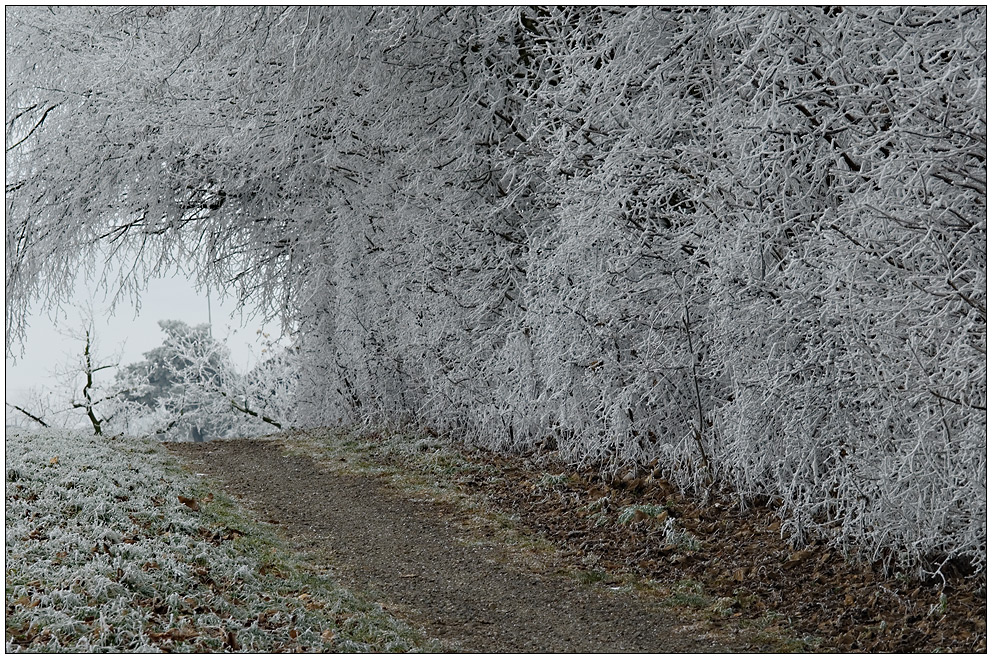 gute Weg im neuen Jahr 2008