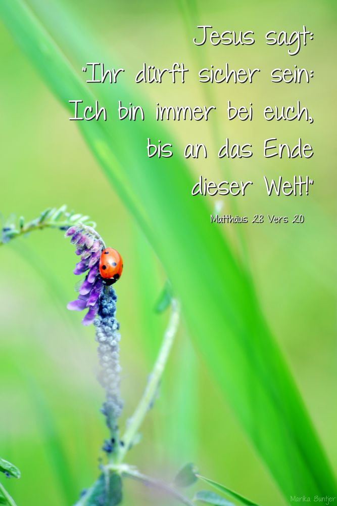 gute Wünsche Foto & Bild | emotionen, hoffnung, spezial Bilder auf