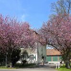 GutEichholz im Frühling