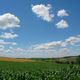 Natur