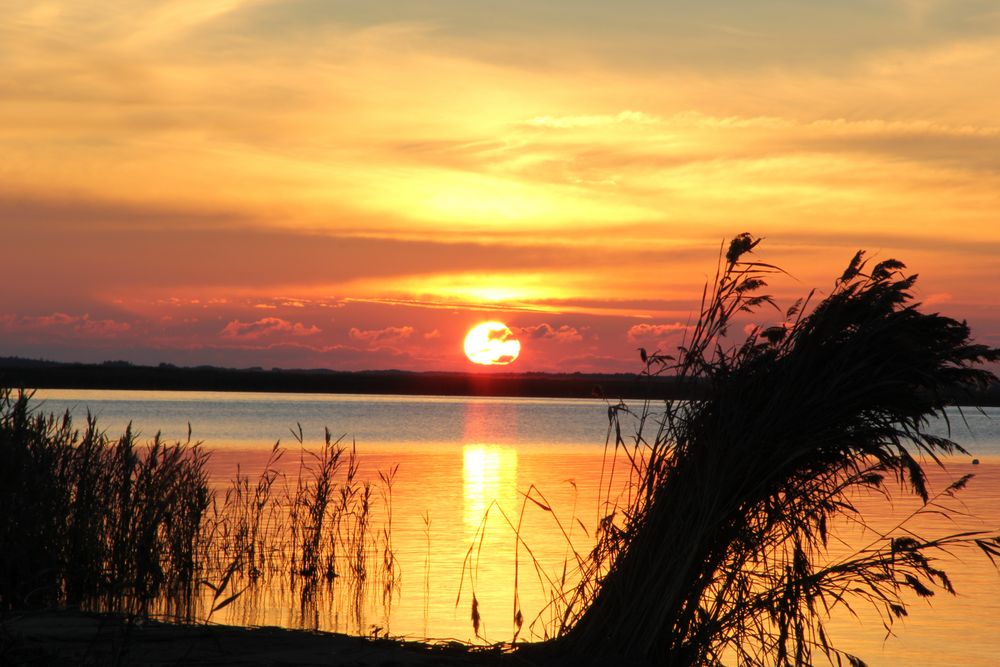Abendbilder Natur: Eintauchen in die Magie der Abendstimmung