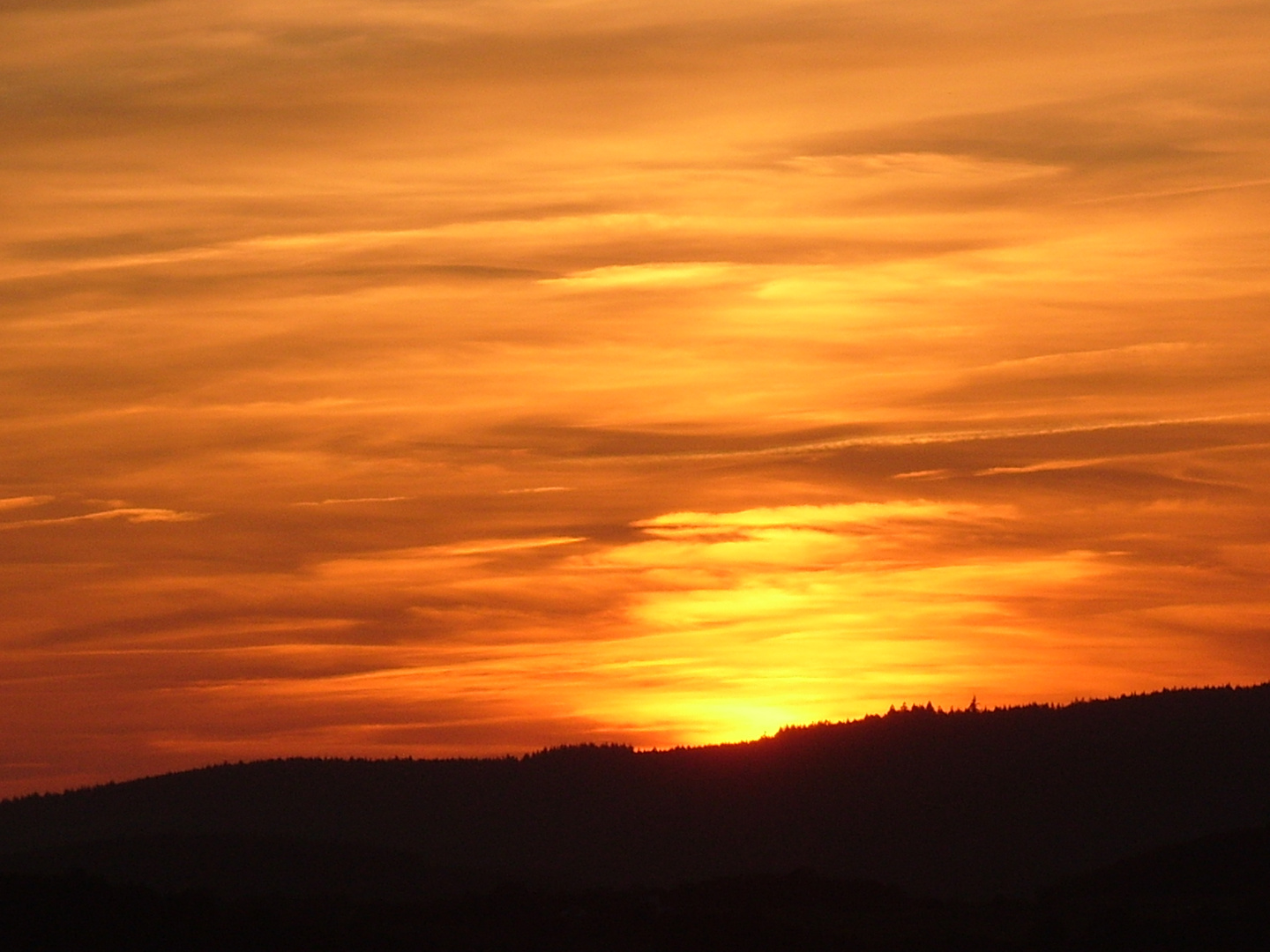 Guten Abend, gute Nacht!