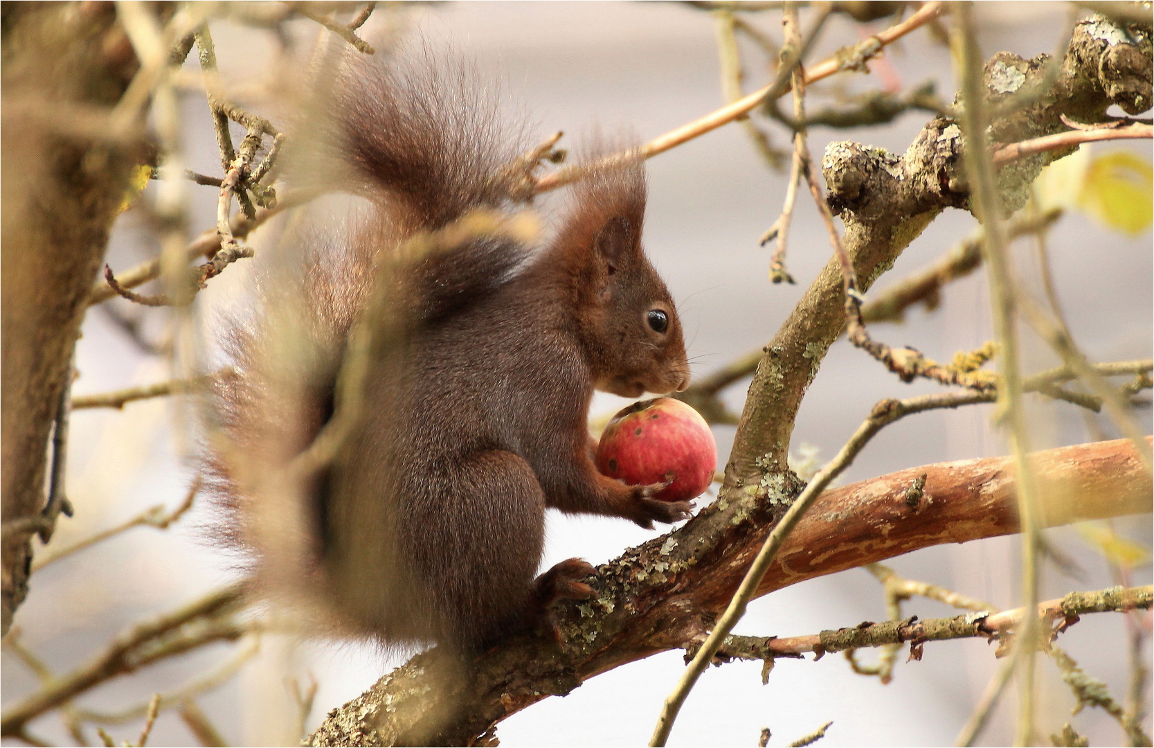 ...guten Appetit....