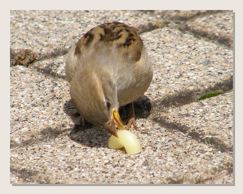 Guten Appetit (reloaded)