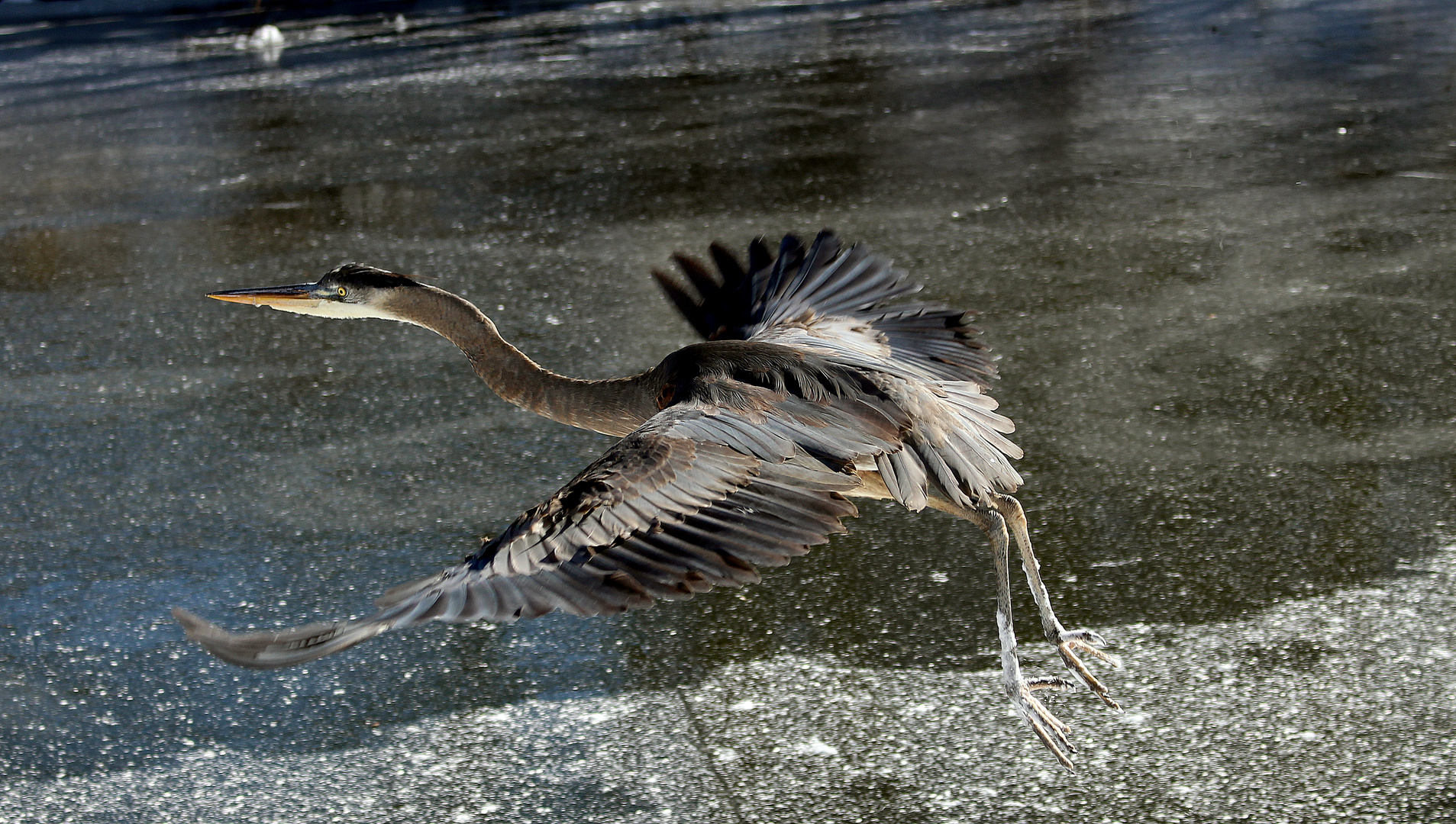 Guten Flug.....