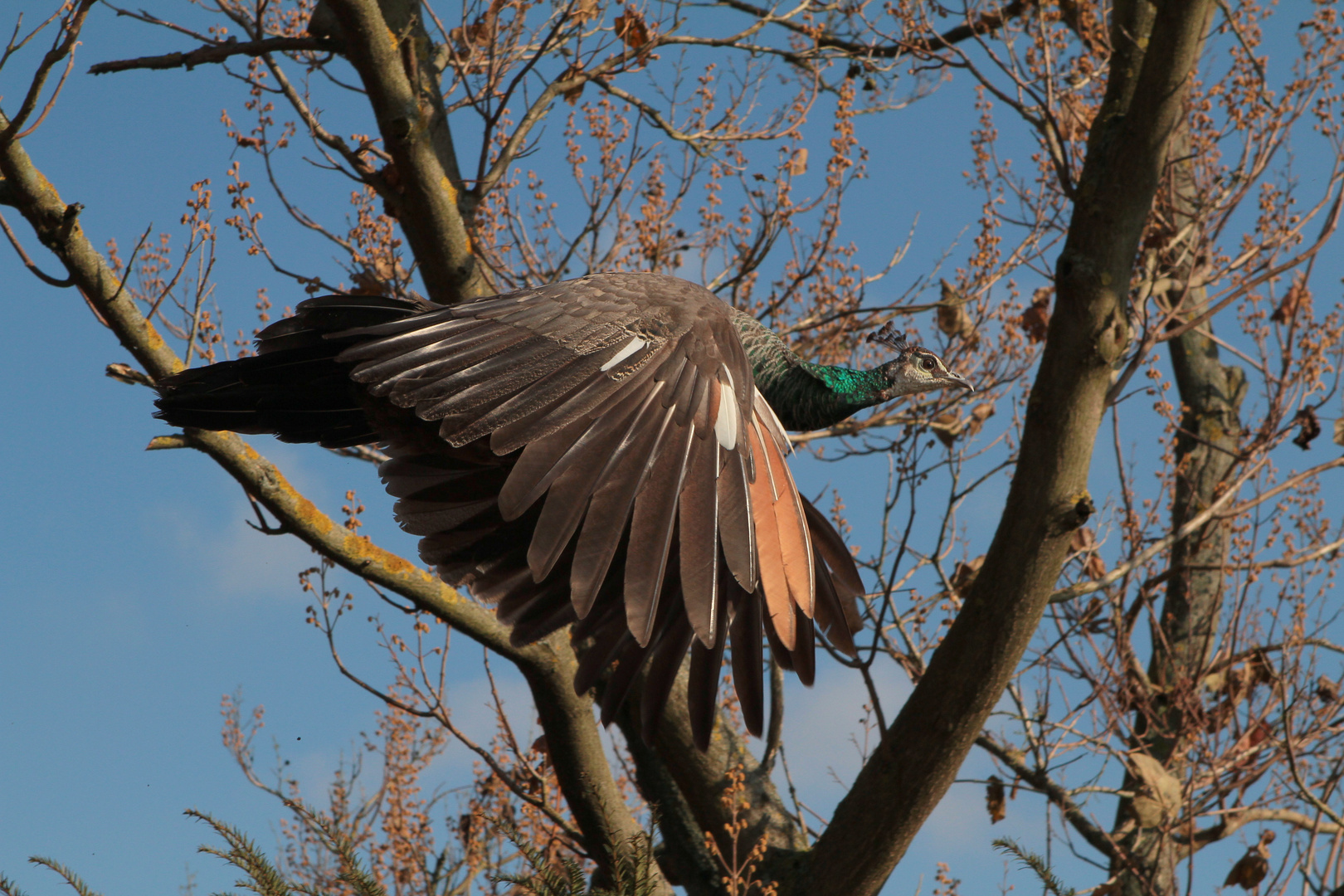 ...guten Flug....