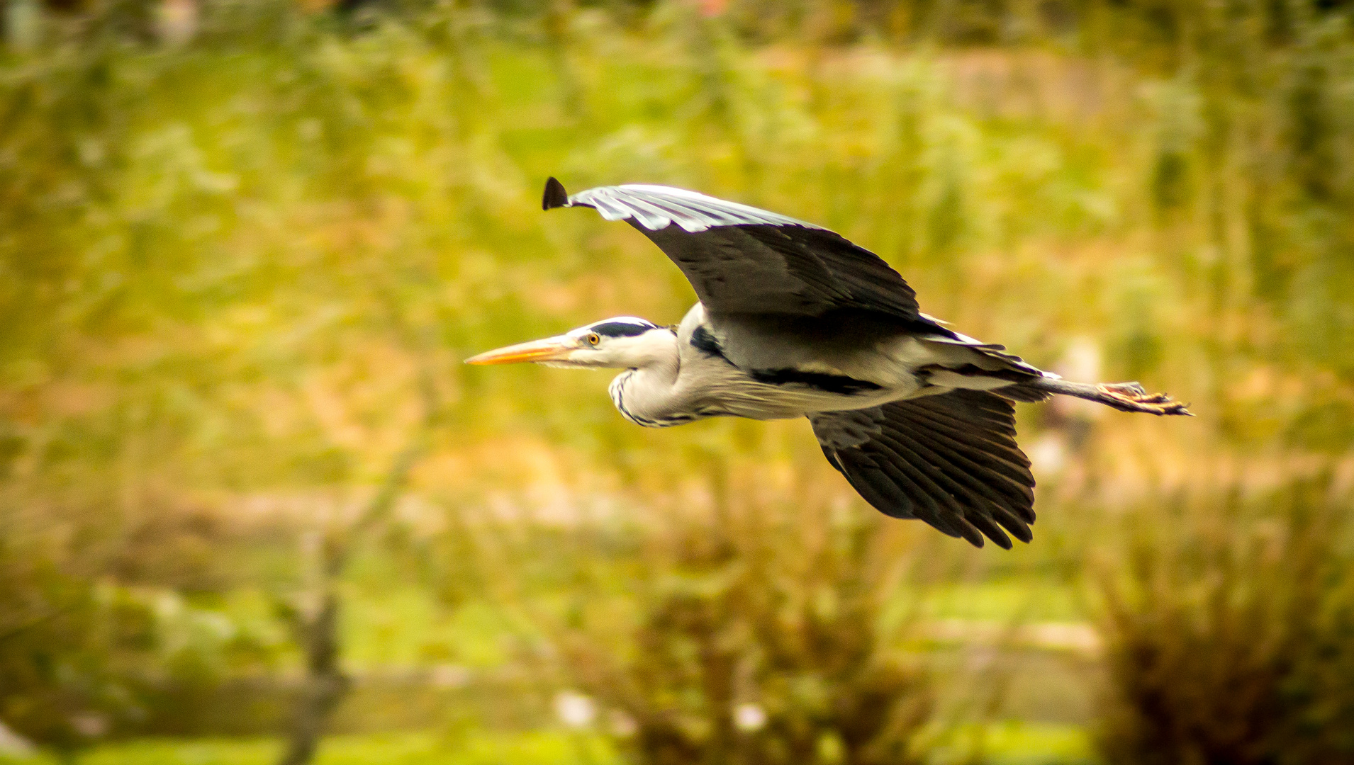 Guten Flug