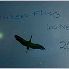 guten flug