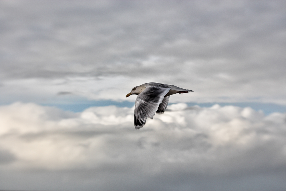 Guten Flug!