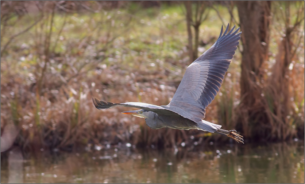 guten Flug