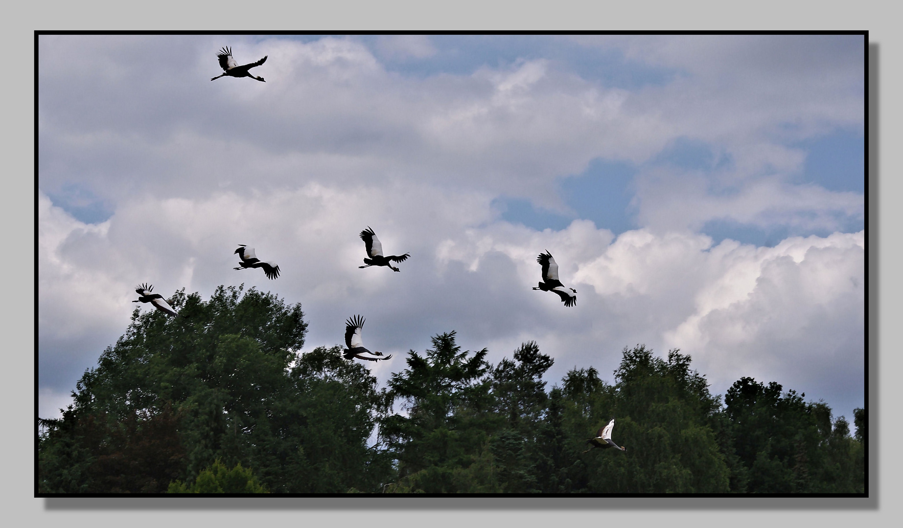 Guten Flug in die neue Woche