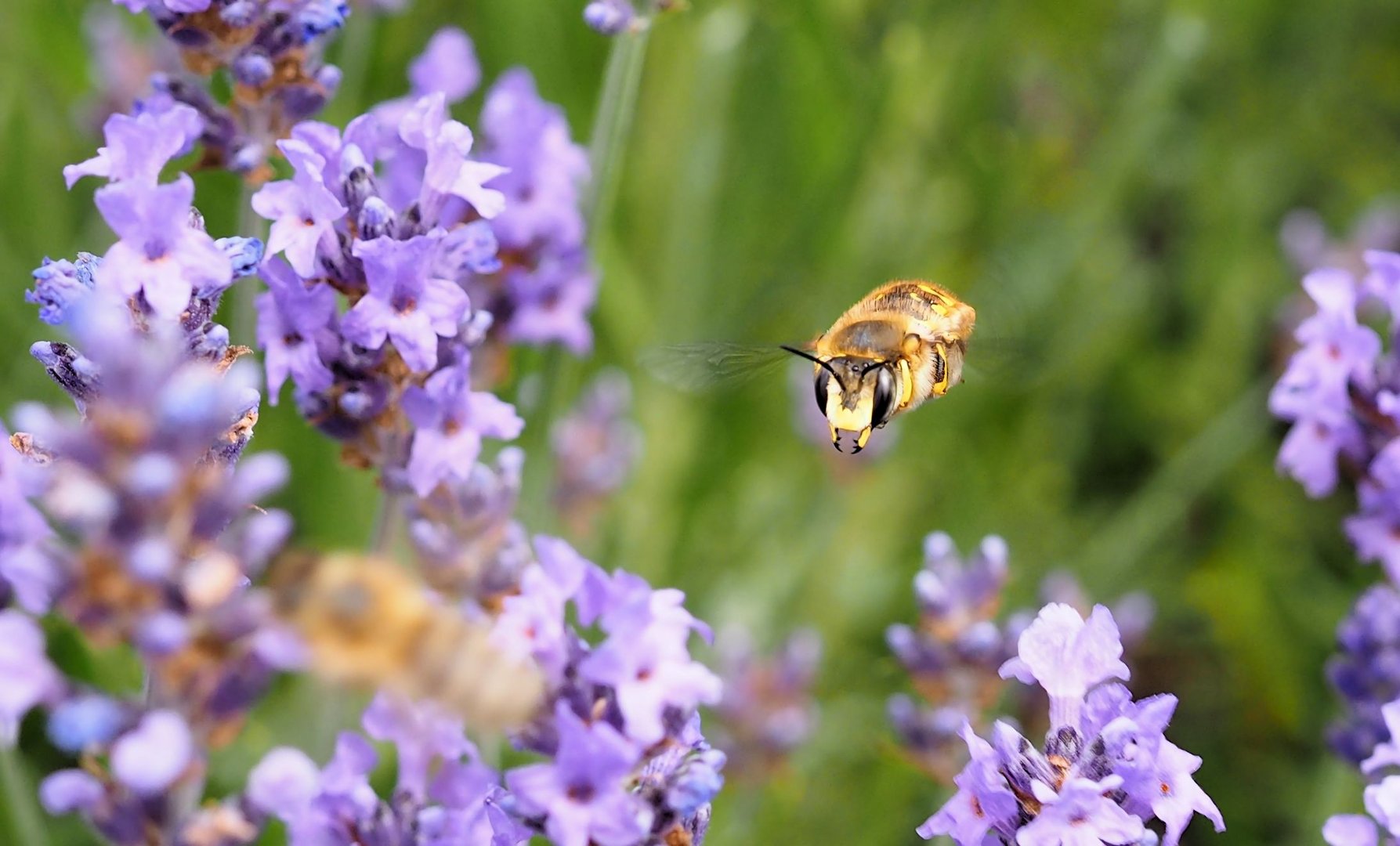 Guten Flug in die neue Woche :)