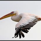 Guten Flug in die Sommerzeit ...