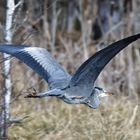 Guten Flug ins Neue Jahr!