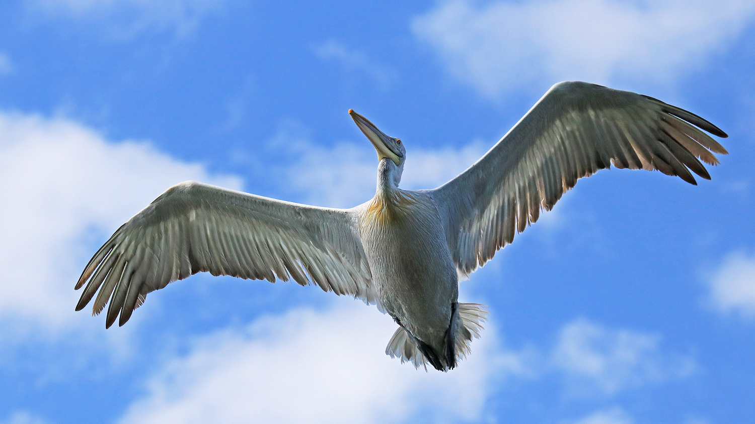 Guten Flug ins neue Jahr!