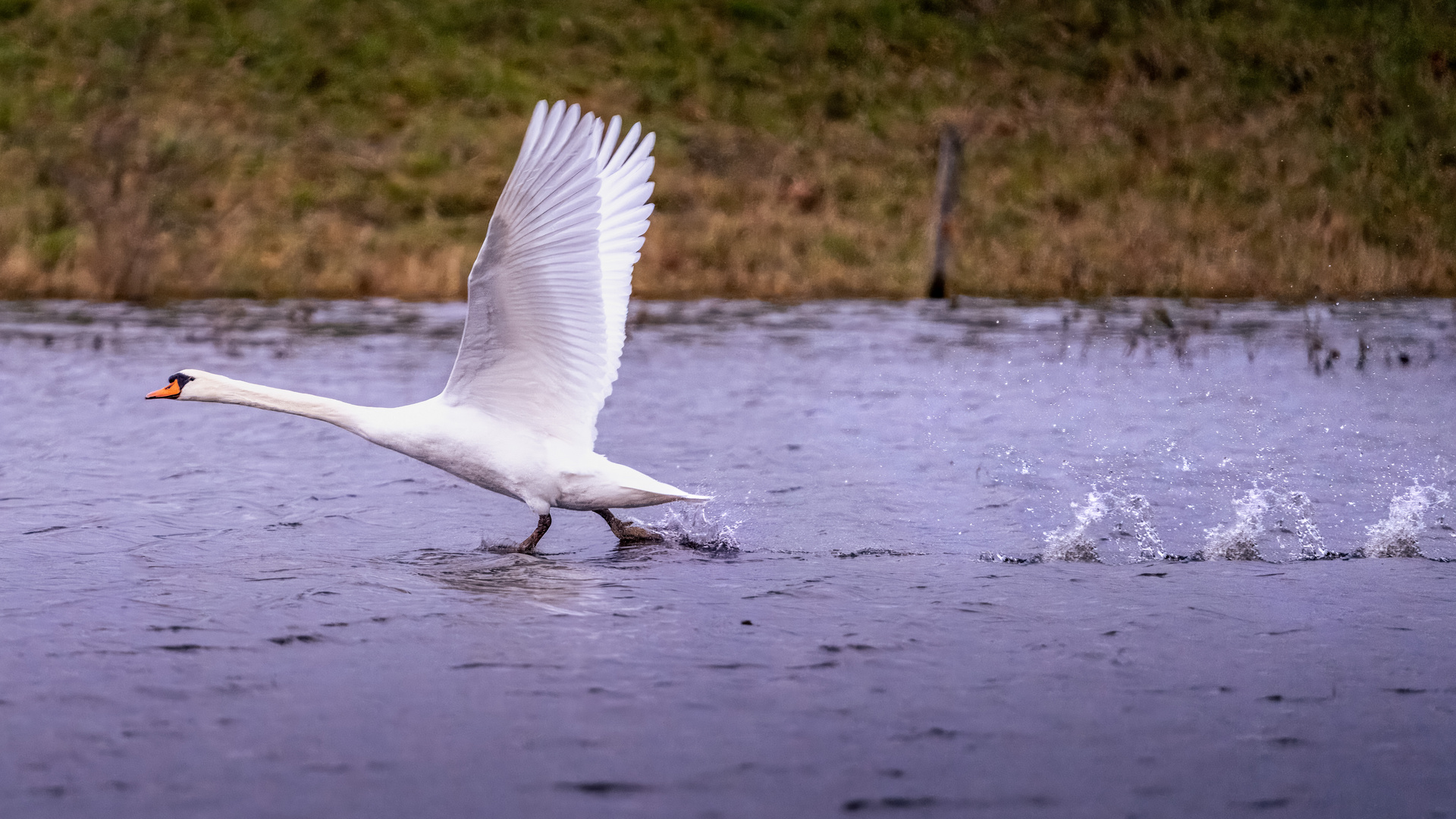 guten Flug ins neue Jahr