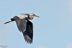 Guten Flug ins Wochenende
