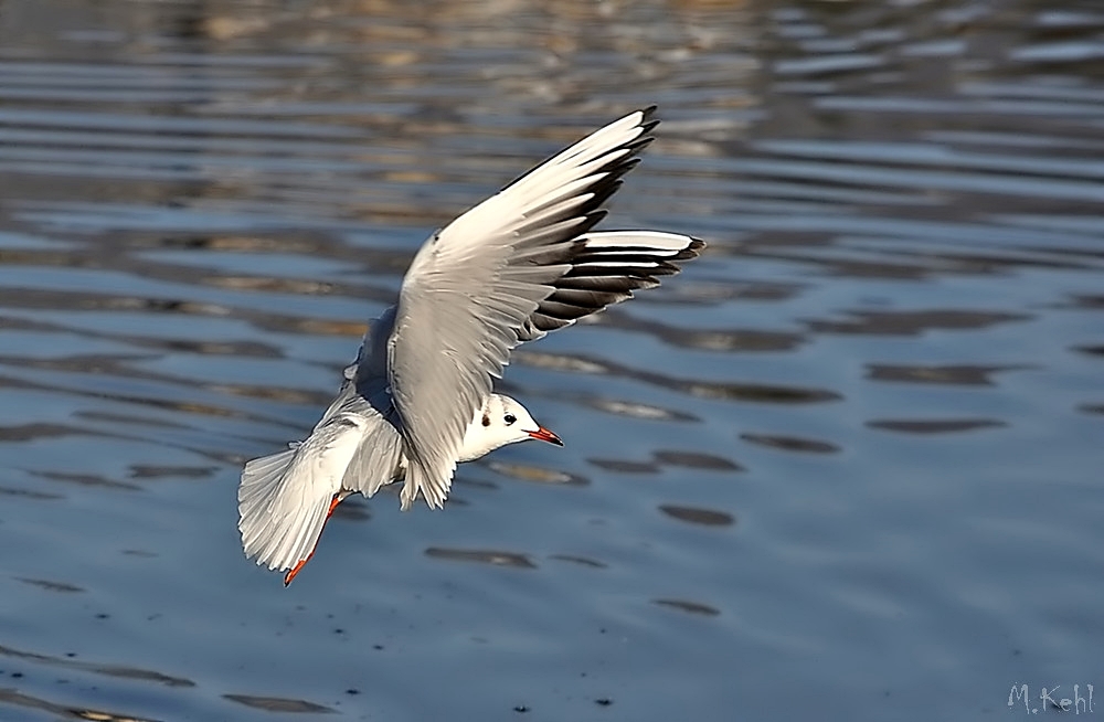 Guten Flug ins Wochenende