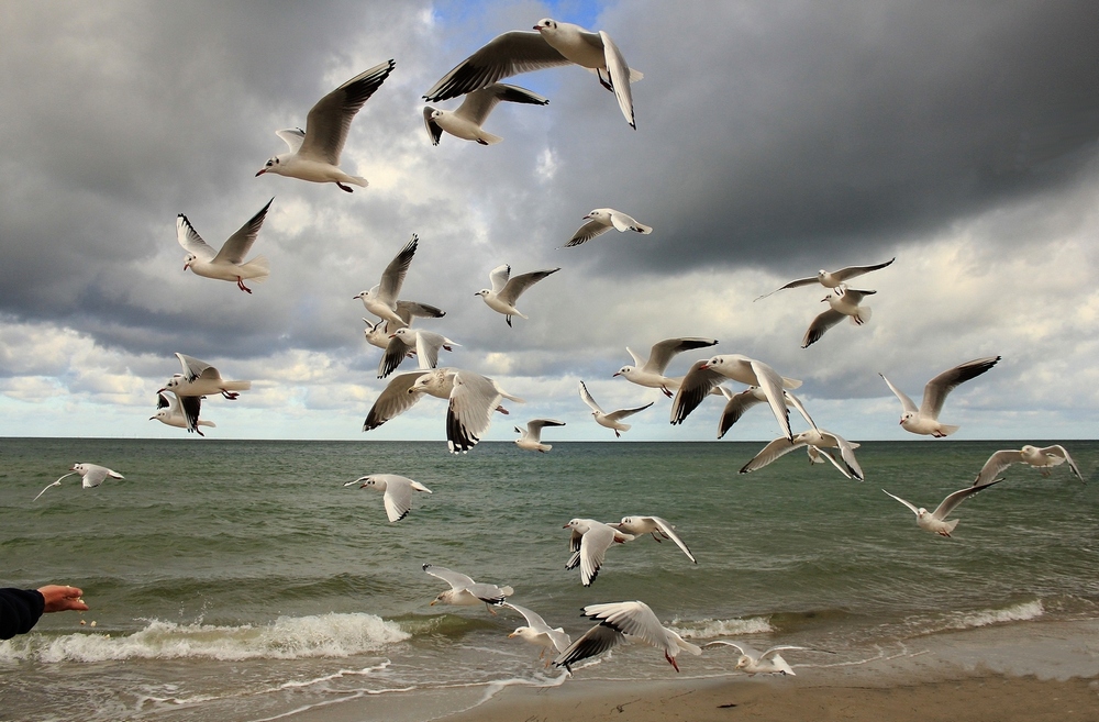 guten flug ins wochenende...