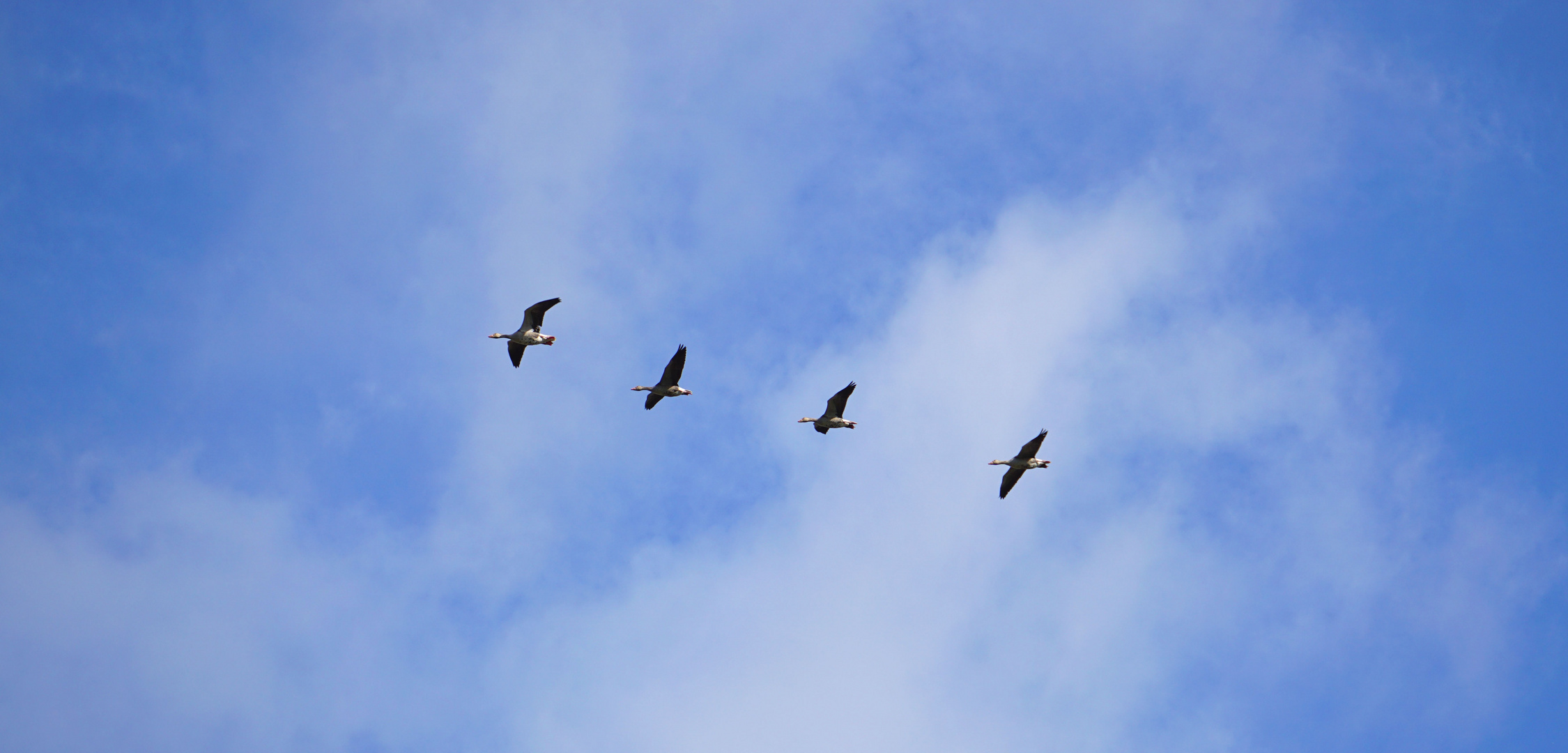 Guten Flug nach ....