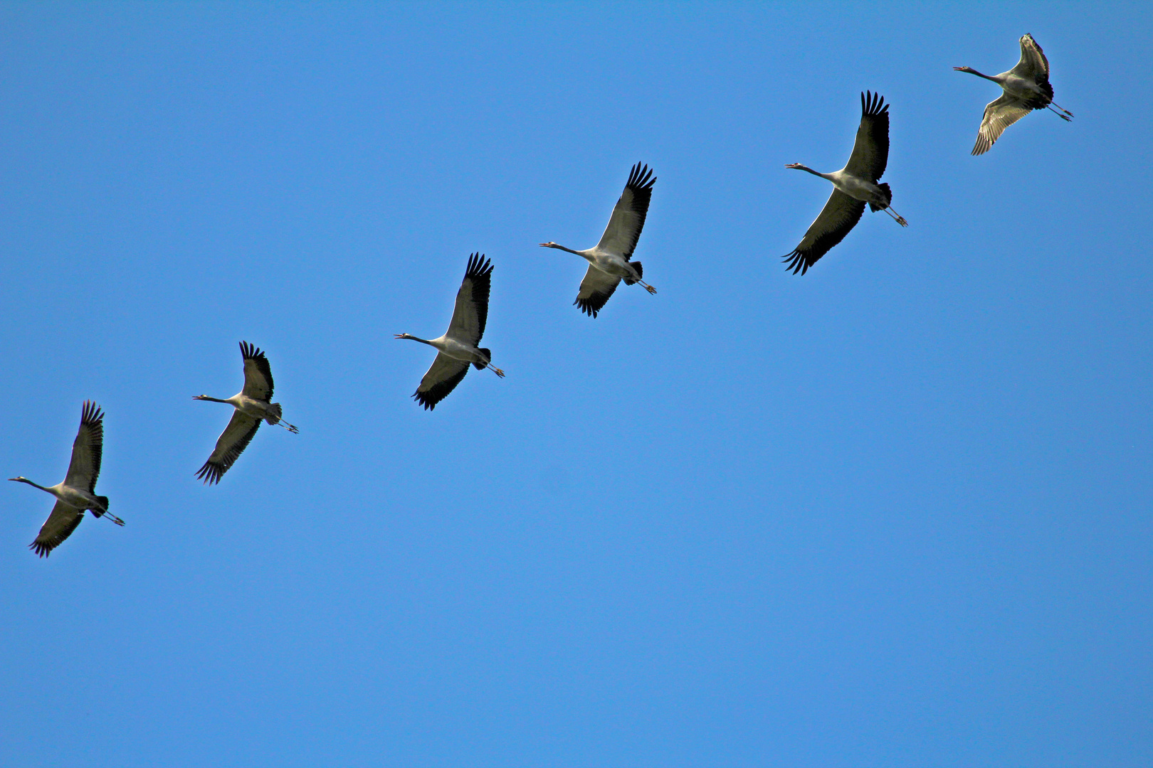 Guten Flug, wir sehen uns...