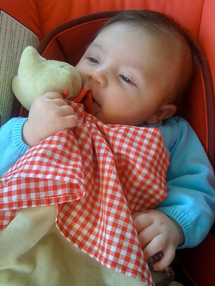 Guten Freunden gibt man doch ein Küsschen... Foto & Bild kinder, babies, menschen Bilder auf Guten Freunden gibt man doch ein Küsschen... Foto & Bild kinder, babies, menschen Bilder auf