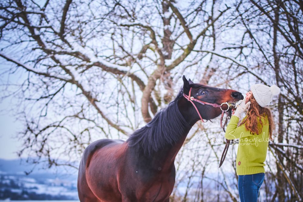 Guten Freunden gibt man ein Küsschen Foto & Bild sport, sport mit tieren, pferdesport Bilder Guten Freunden gibt man ein Küsschen Foto & Bild sport, sport mit tieren, pferdesport Bilder