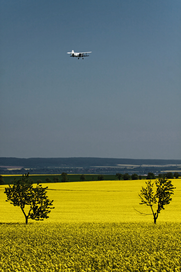 Guten Heimflug