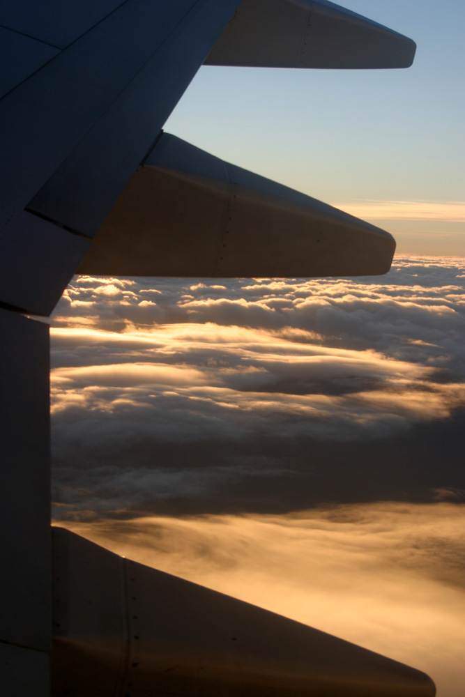 guten (heim)flug, liebster bert