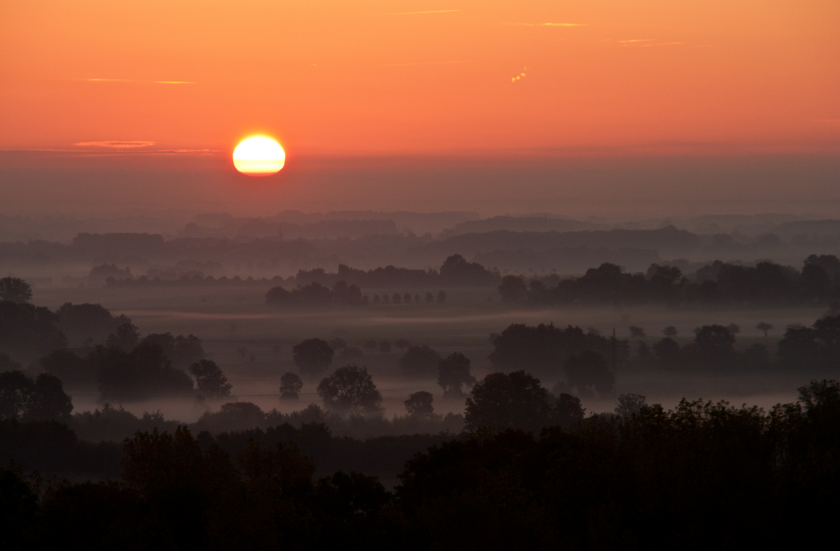 Guten Morgen