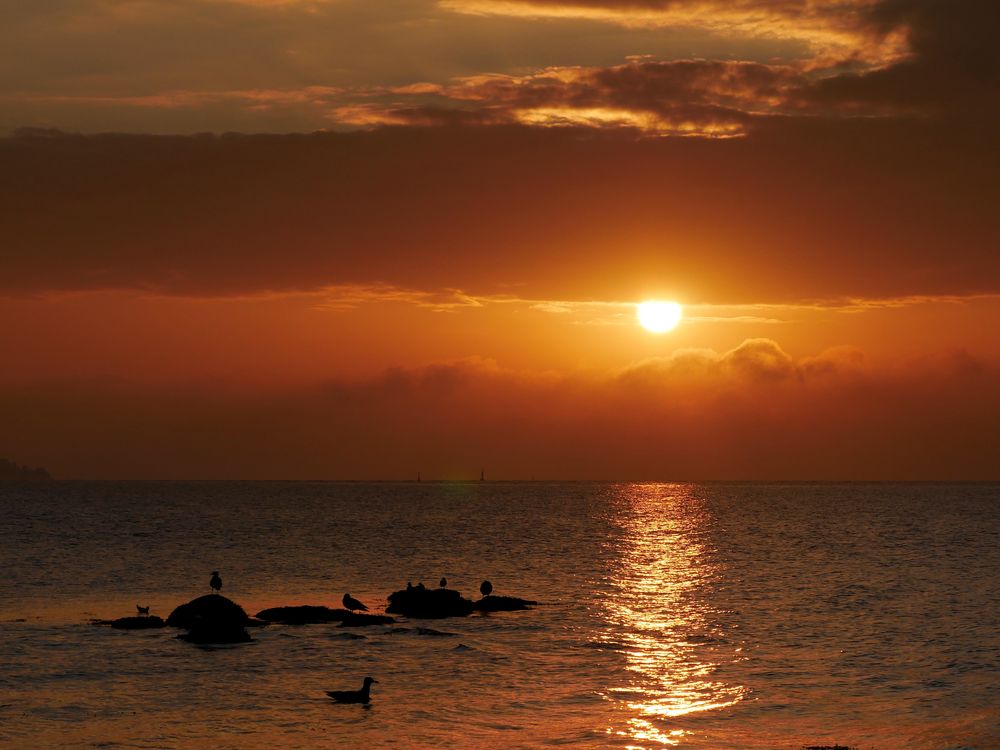 Guten Morgen Ostsee Bilder: Erwache mit der Schönheit der Ostsee