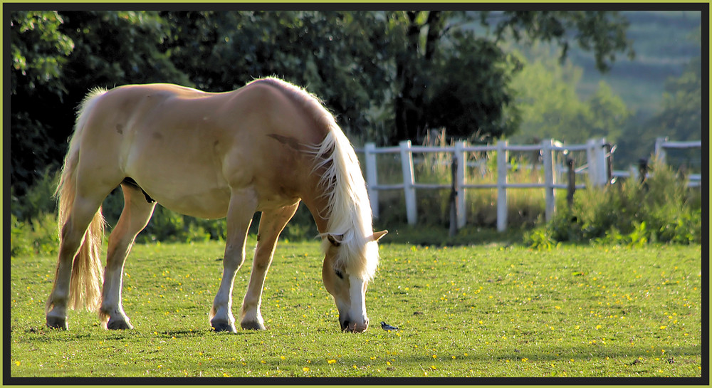 Guten Morgen :-)