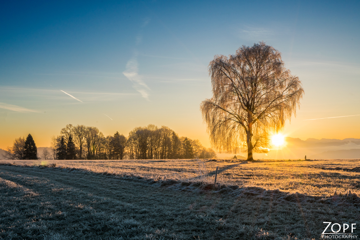 Guten Morgen 2017