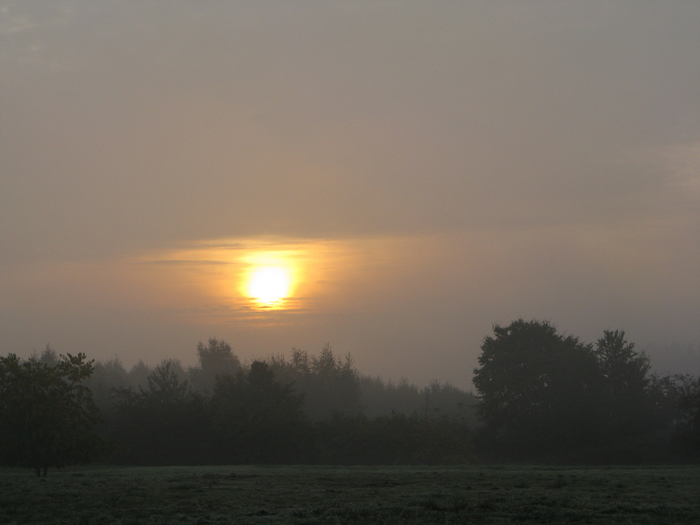 Guten morgen!