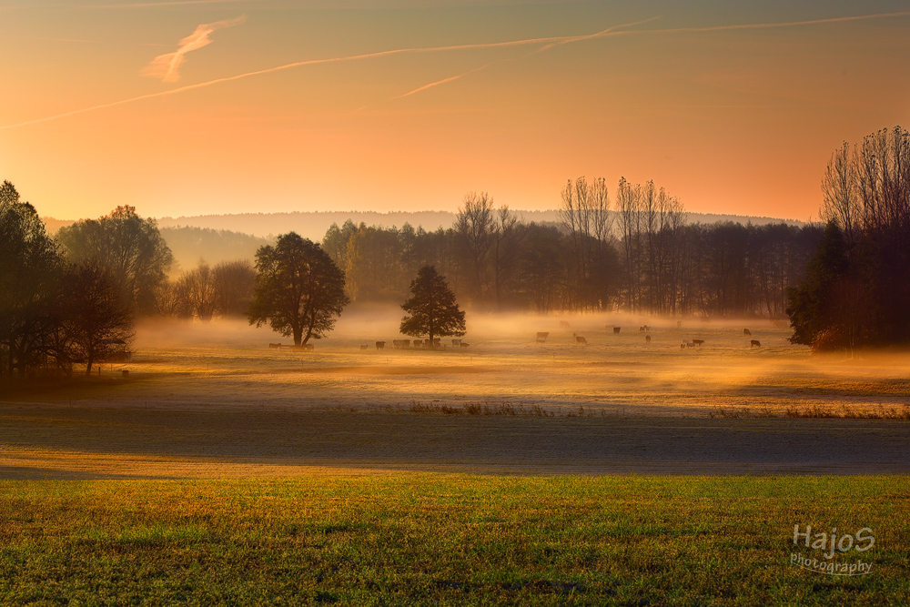 Guten Morgen ...