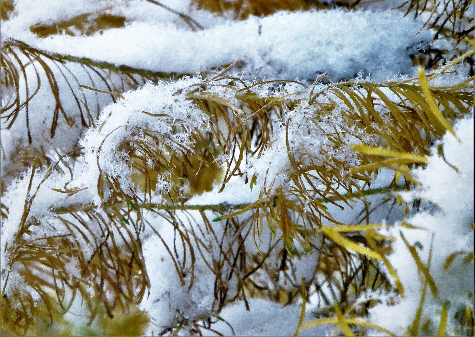 Guten Morgen Foto Bild Jahreszeiten Winter Wetter Himmel Bilder Auf Fotocommunity