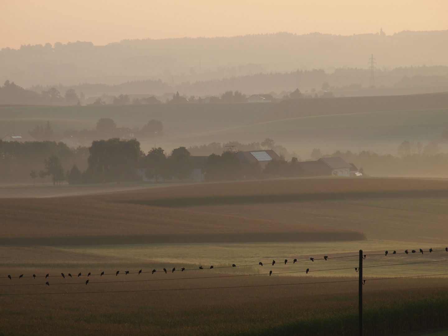 Guten Morgen