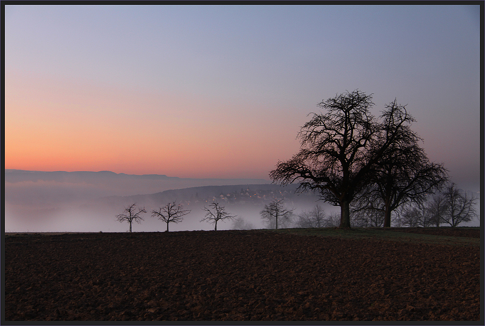 Guten Morgen...