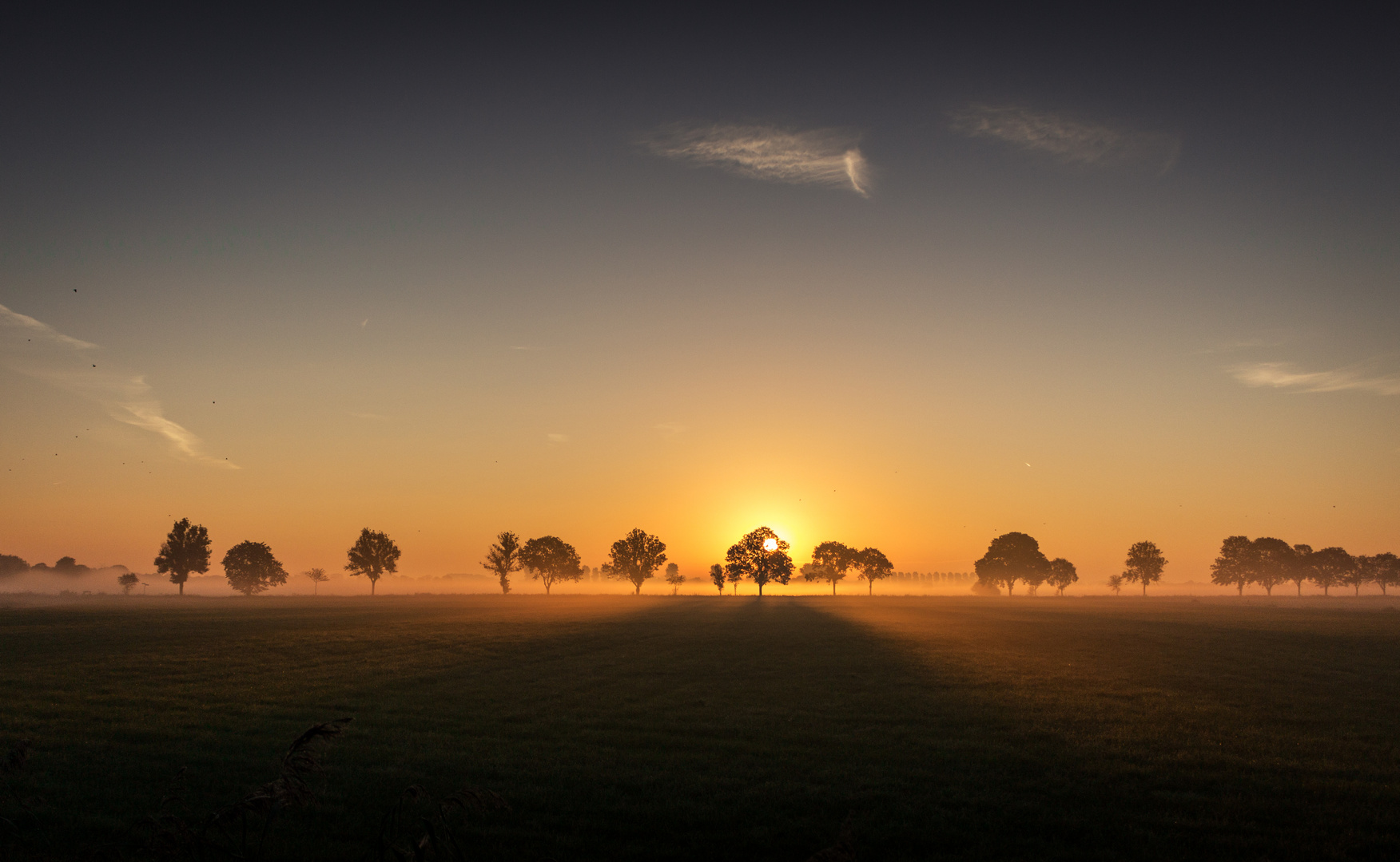 Guten Morgen!