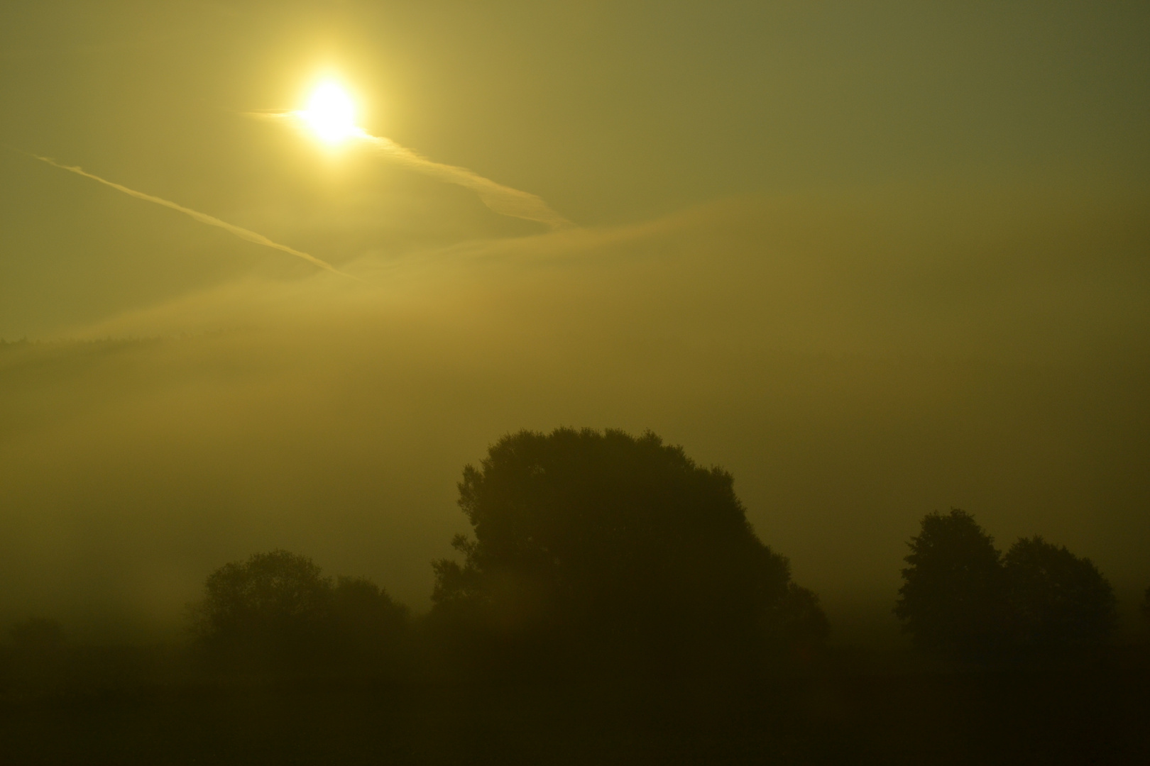 Guten Morgen...